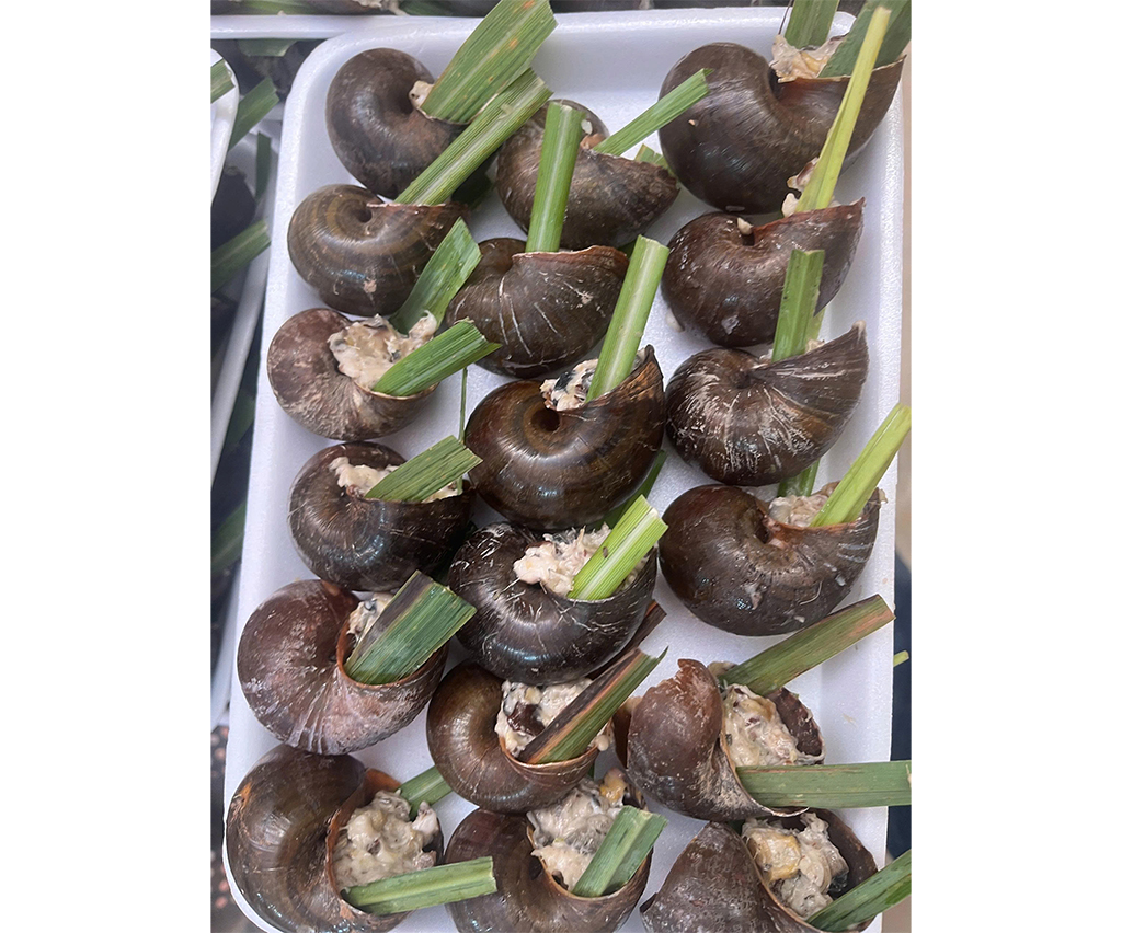 Ốc nhồi thịt 18 con khay 500g